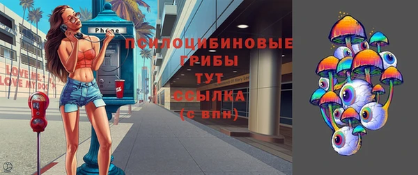 марки lsd Бородино