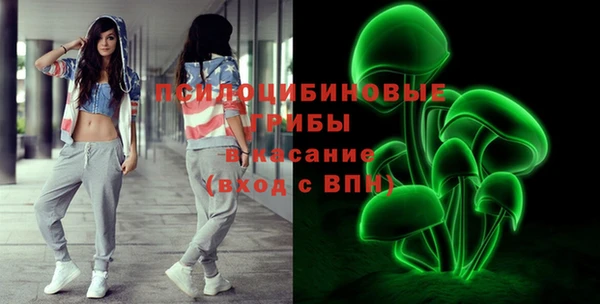 марки lsd Бородино
